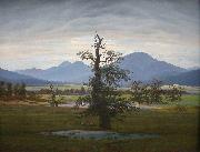 Caspar David Friedrich Landscape with Solitary Tree oil on canvas